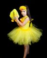 Inchiriere costum serbare ratusca,gaina,pui 450