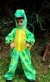 Inchiriere Costum dragon, dinozaur copii 594 