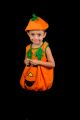 Inchiriere costum dovlecel copii 496
