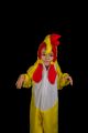 Inchiriere Costum serbare copii Cocos 185
