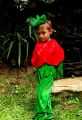 Inchiriere costum serbare floare trandafir, mac, lalea 647