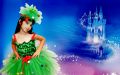Inchiriere costumatie bradut fetita 509