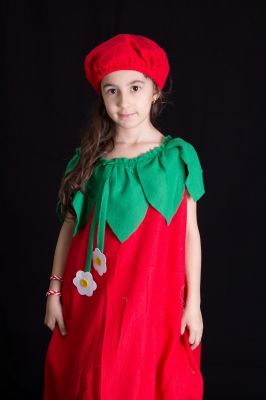 Costum serbare ardei, gogosar, rosie, lalea 753