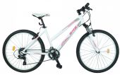 Bicicleta TERRANA 2624 - Model 2015 DHS